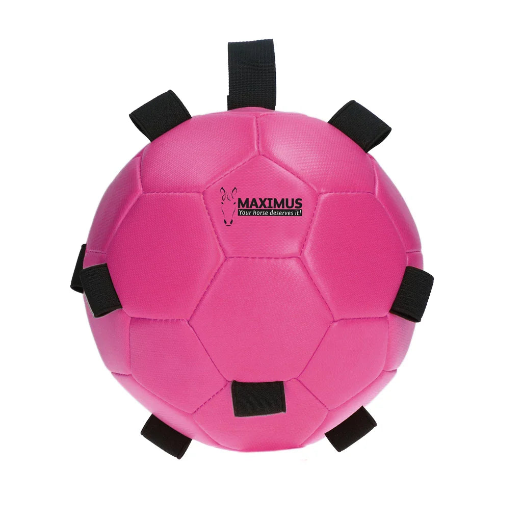 Excellent Horse - Maximus Fun Play Ball speelbal voederbal roze/blauw