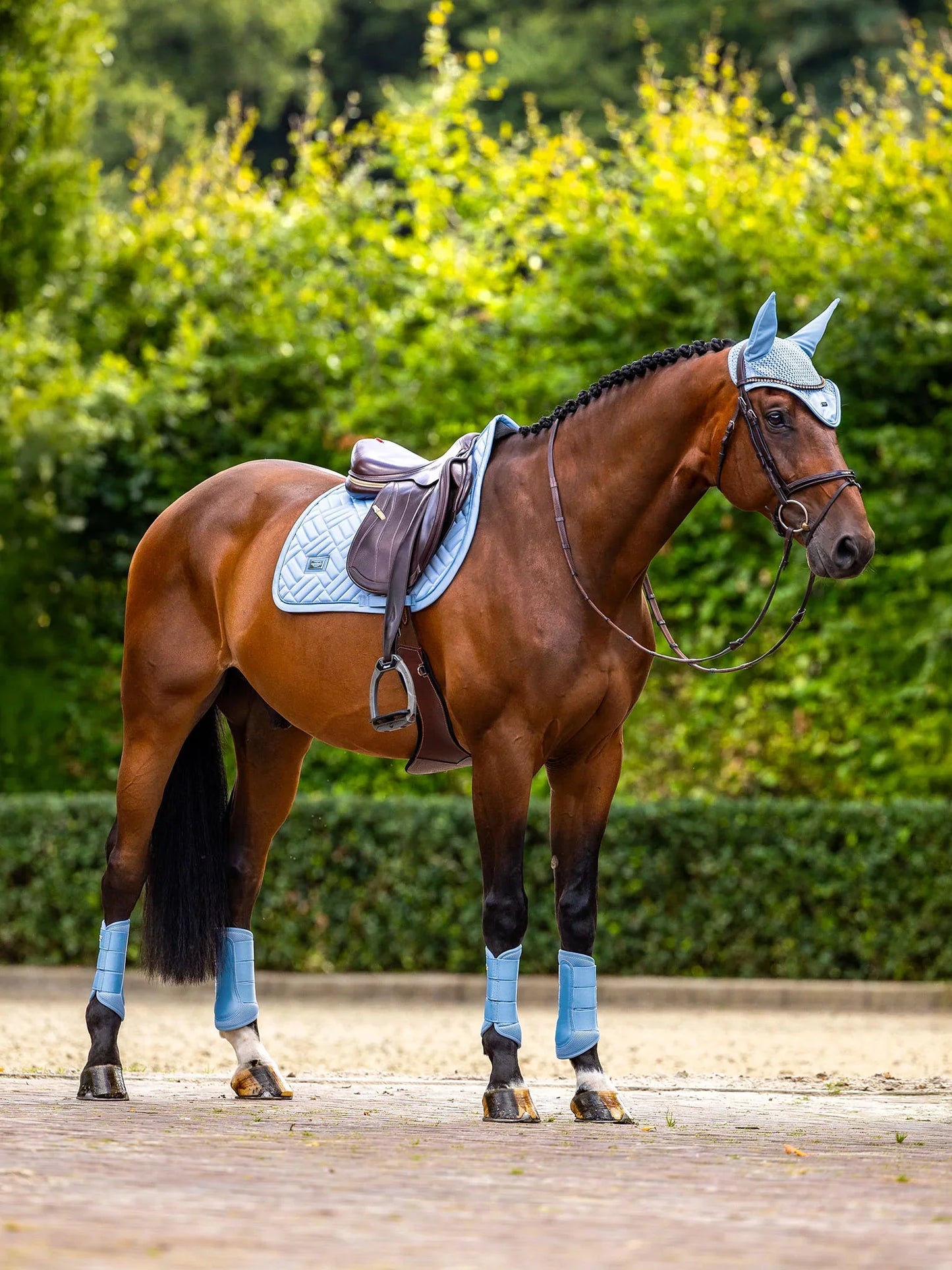 Equestrian Stockholm - SS26 Midsummer Blue - Ear Bonnet Modern oornetje