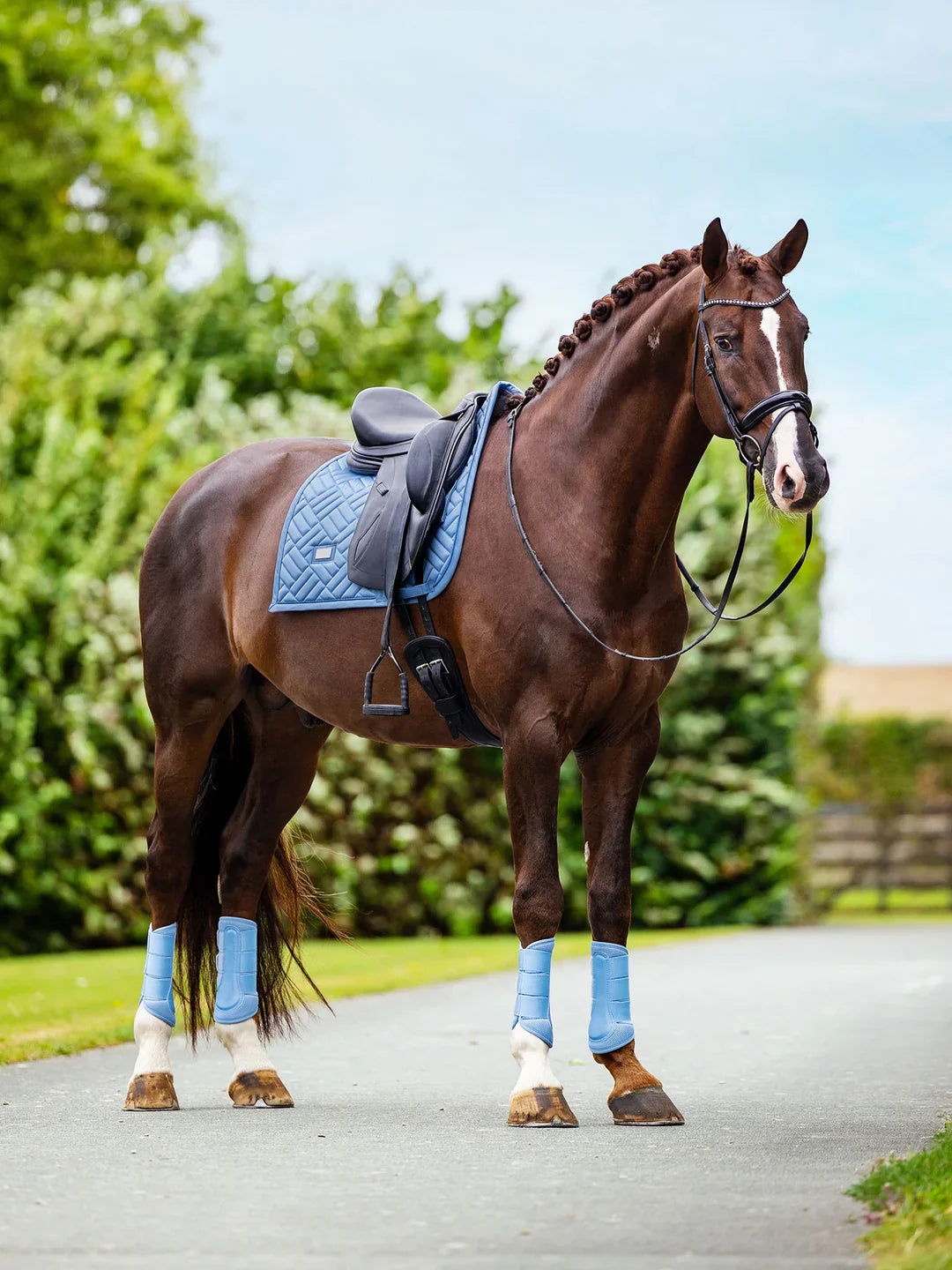 Equestrian Stockholm - SS26 Midsummer Blue - Dressage Saddle Pad Modern dressuurzadeldek