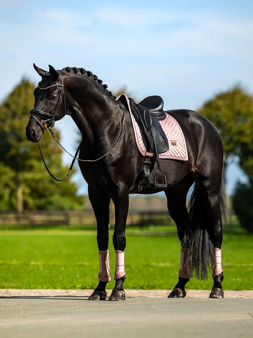 Equestrian Stockholm - SS26 Midsummer Blush - Dressage Saddle Pad Modern dressuurzadeldek