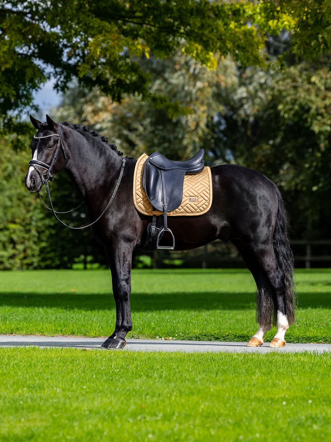 Equestrian Stockholm - SS26 Midsummer Glow - Dressage Saddle Pad Modern dressuurzadeldek