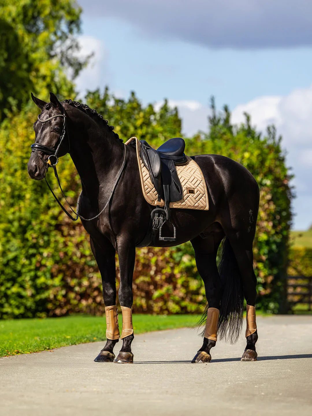 Equestrian Stockholm - SS26 Midsummer Glow - Dressage Saddle Pad Modern dressuurzadeldek