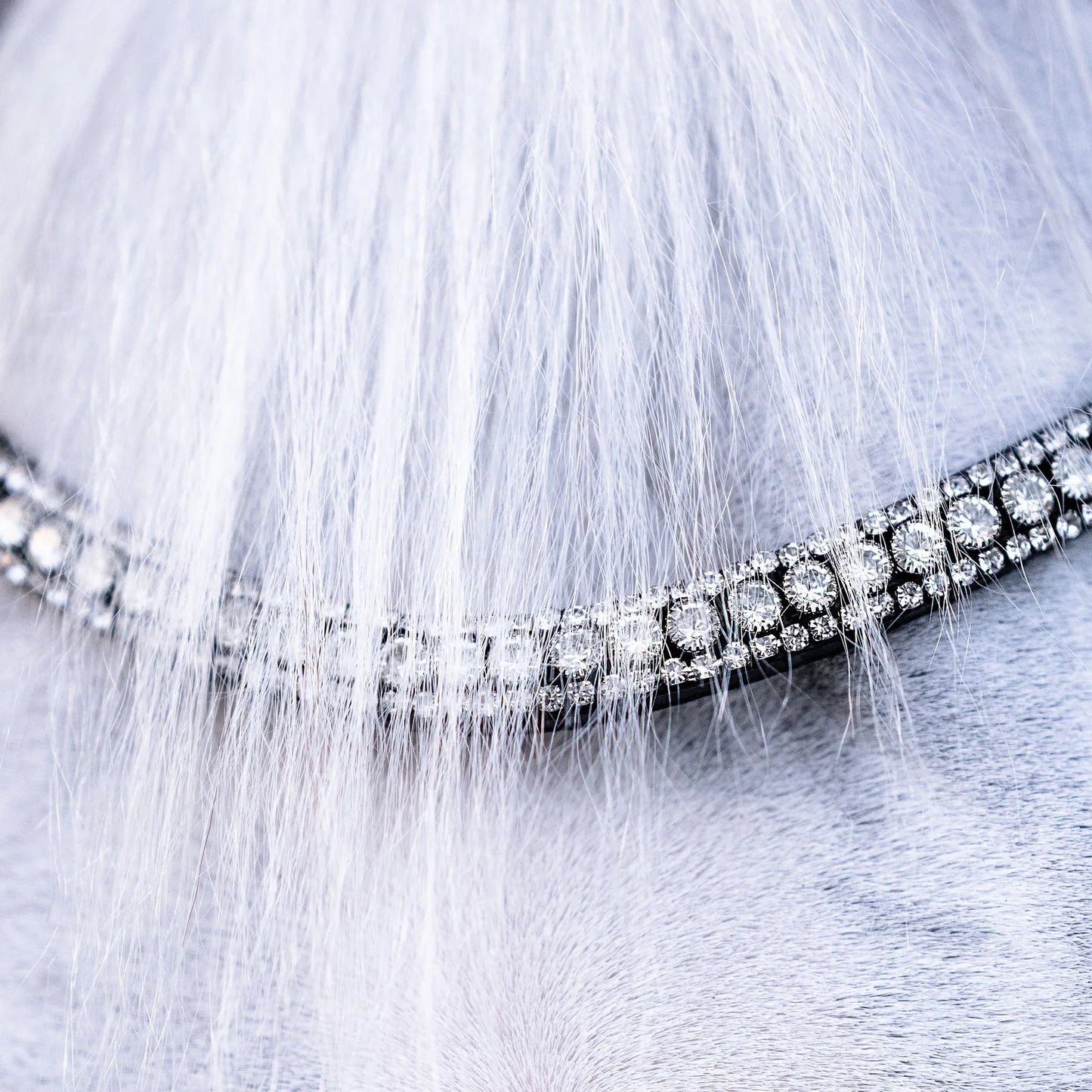 Lumiere/ Lumi Pony - Solitaire Crystal frontriem (ook in bruin!)