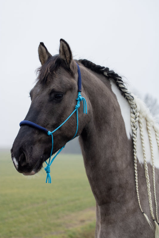 Touwhalster oceaan blauw met donkerblauw