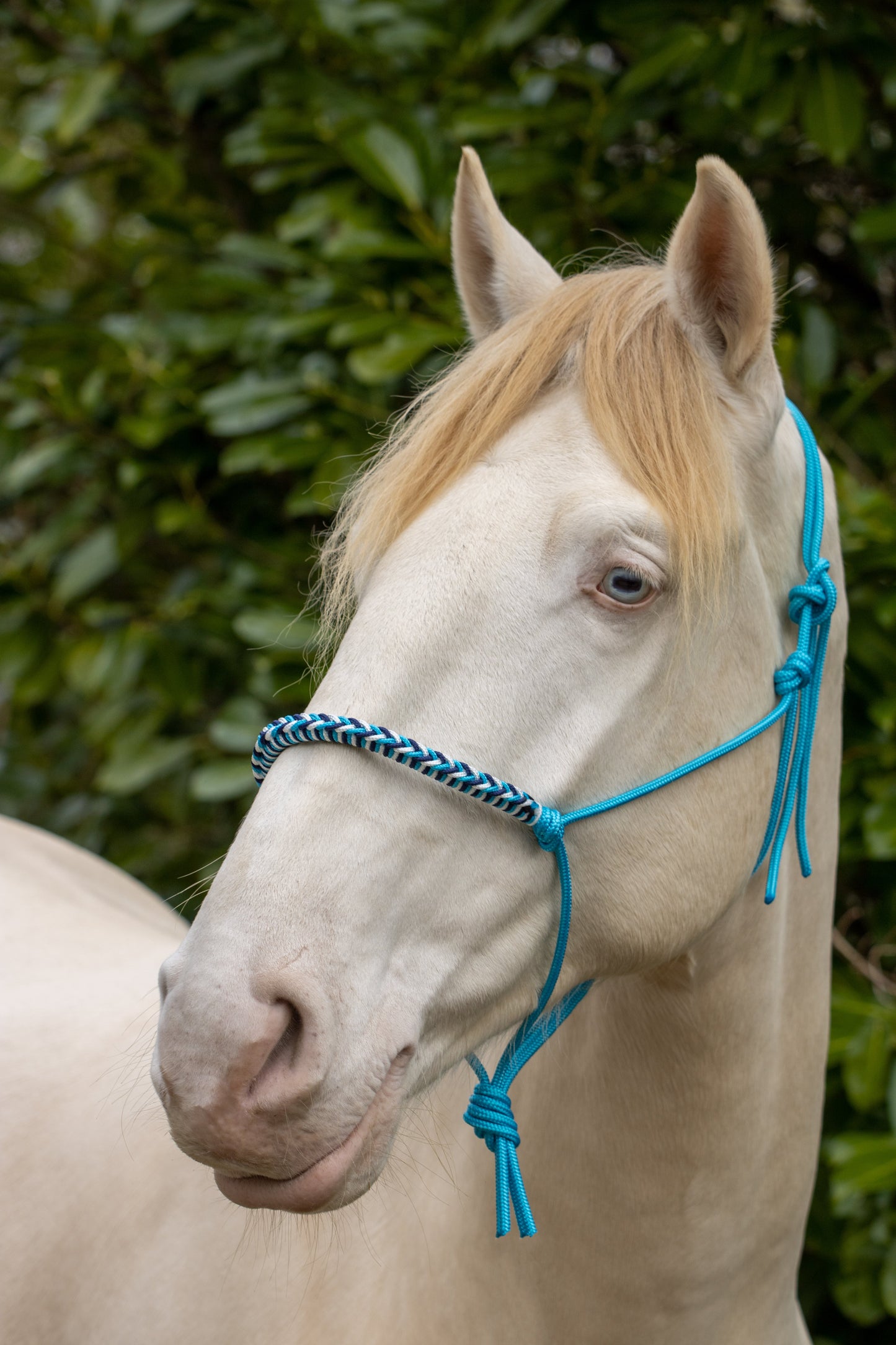 Touwhalster met gevlochten neusband oceaan blauw, wit en donkerblauw