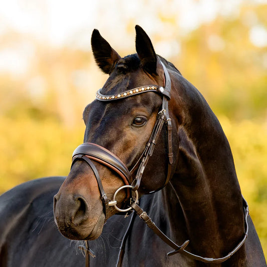 Lumiere - Luxe Hanoverian hoofdstel 'Pippa' Havana