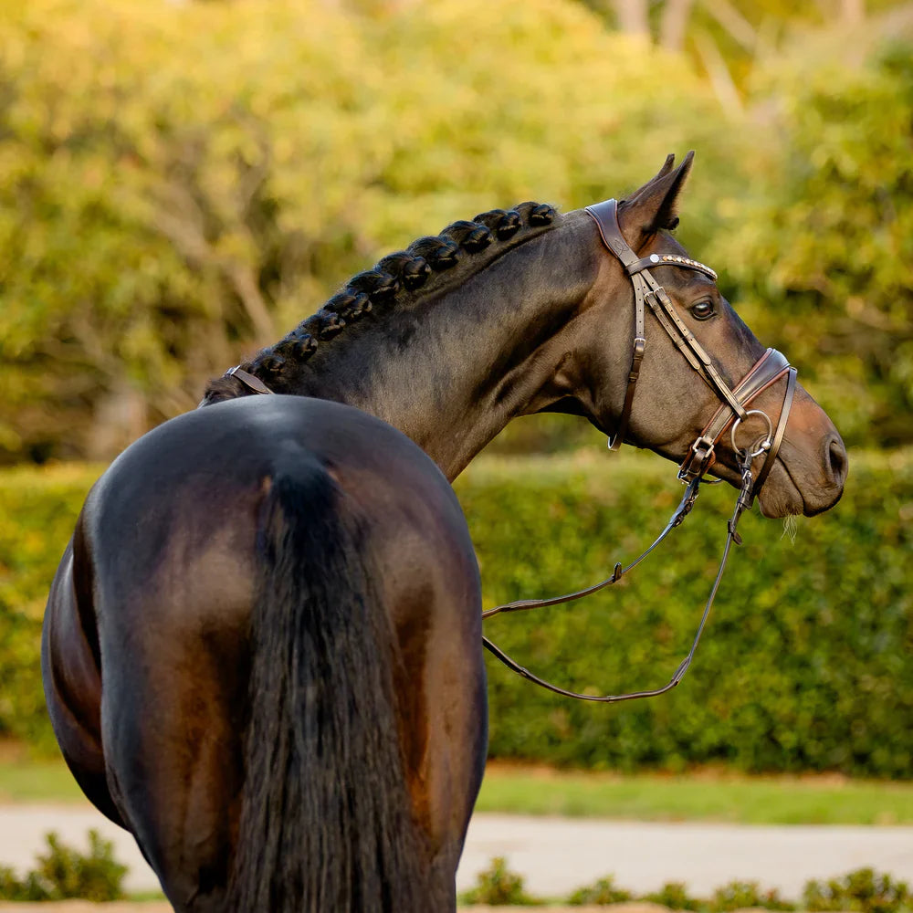 Lumiere - Luxe Hanoverian hoofdstel 'Pippa' Havana