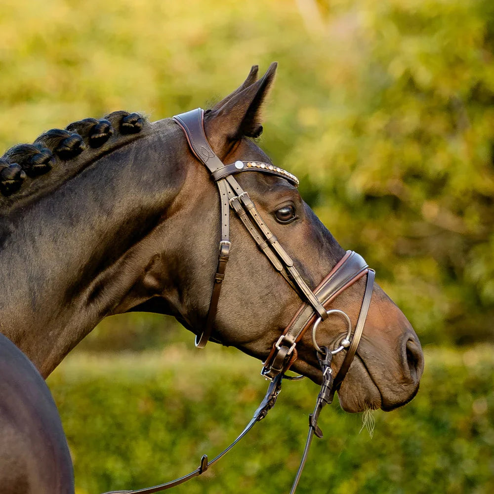 Lumiere - Luxe Hanoverian hoofdstel 'Pippa' Havana