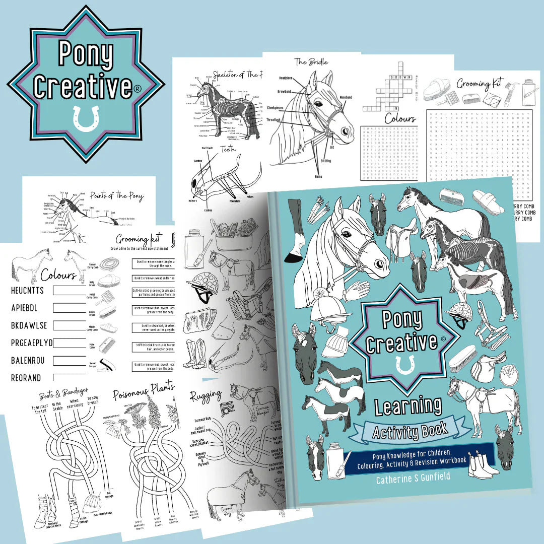 Pony Creative Activity book - Engels