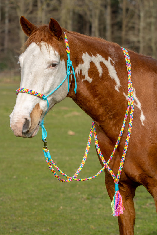 Touwhalster set rainbow vibes