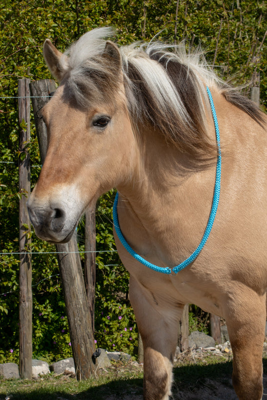 Neckrope met ring