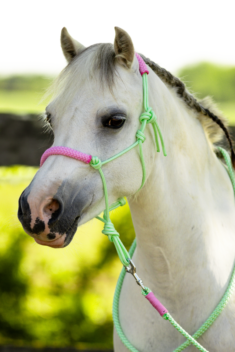 Touwhalster pastel mint met babyroze neus en oorband