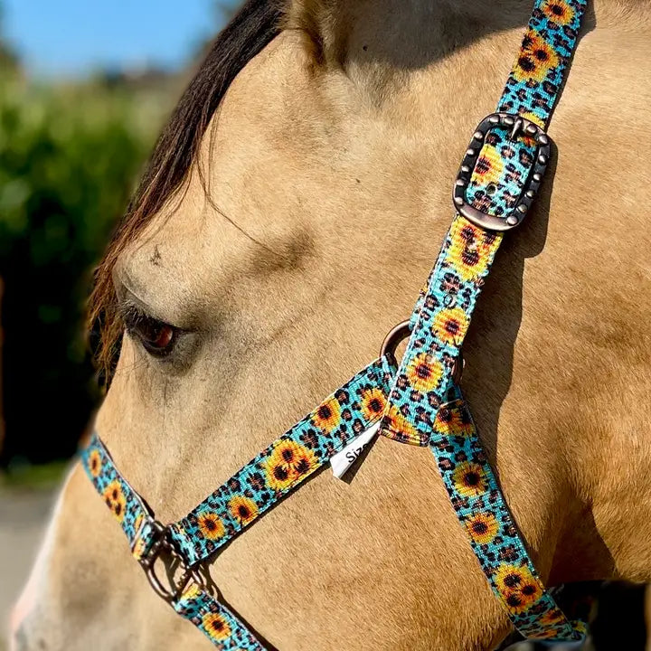 Schulz Equine - Halster Wild sunflower