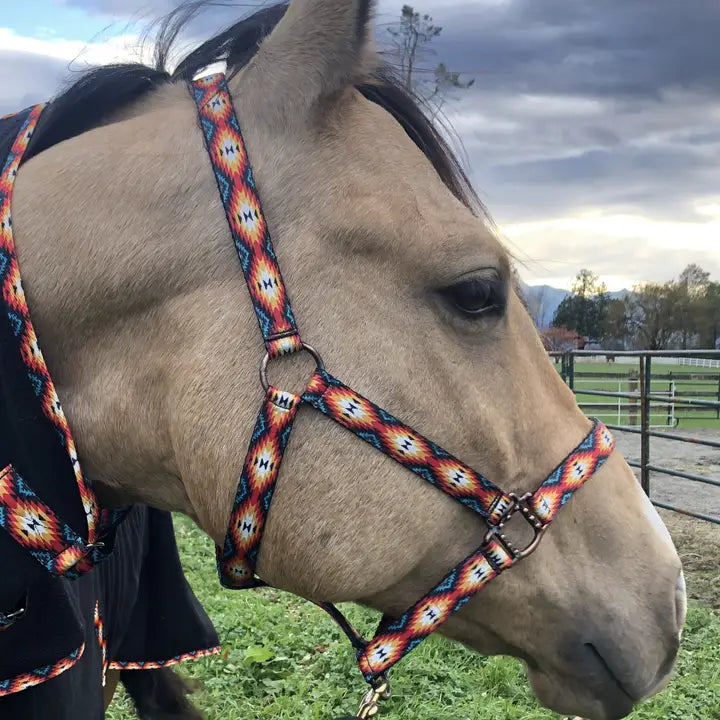 Schulz Equine - Halster Sunset aztek