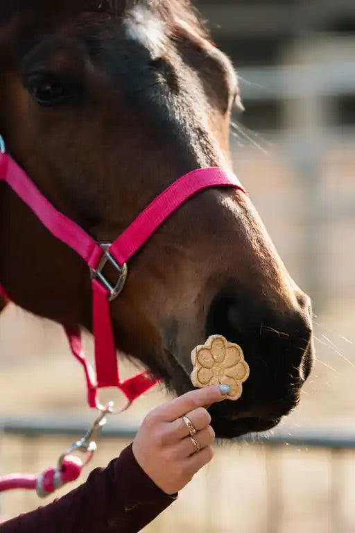 TheHorseTea TasTea Flowers paardentraktaties in bloemvorm met mango, braam en aardbei.