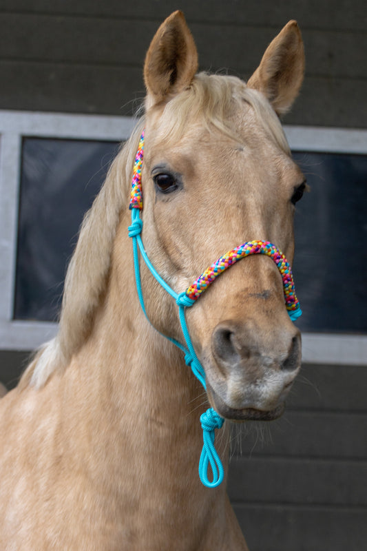 Touwhalster turquoise met regenboog neus en oorband