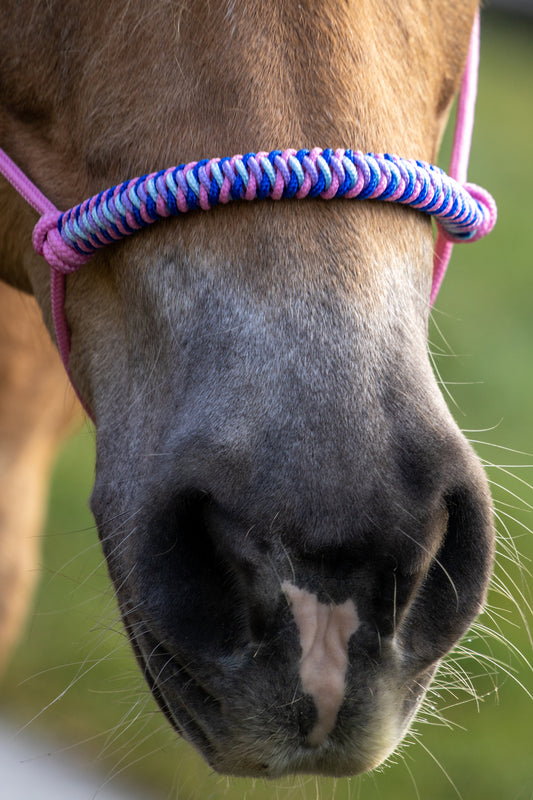 Touwhalster viënna neusband babyroze, lila, kobalt blauw en babyblauw