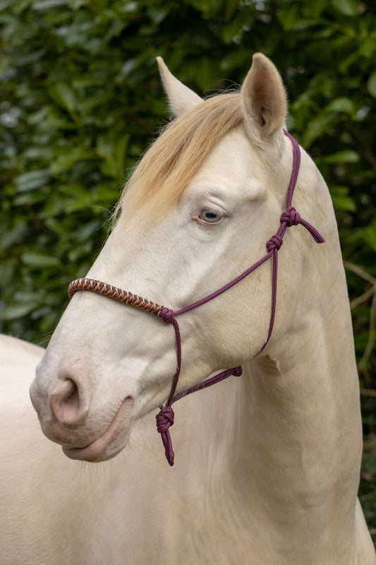 Touwhalster viënna neusband bordeaux, beige, karamel en bruin