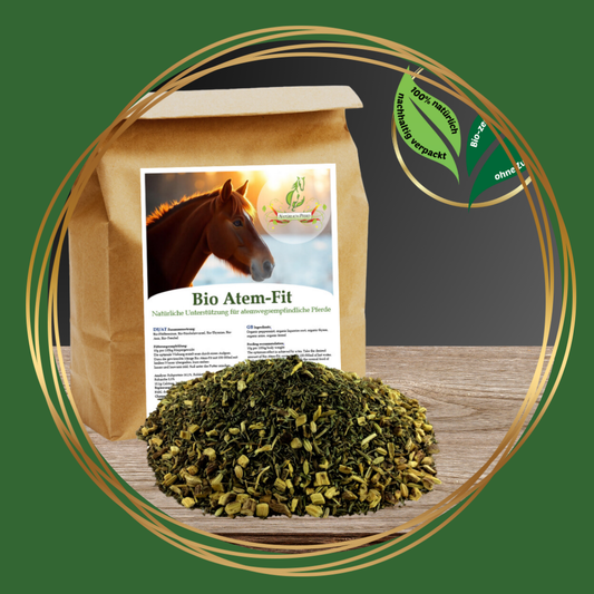 Natürlich Pferd | Bio Adem-Fit