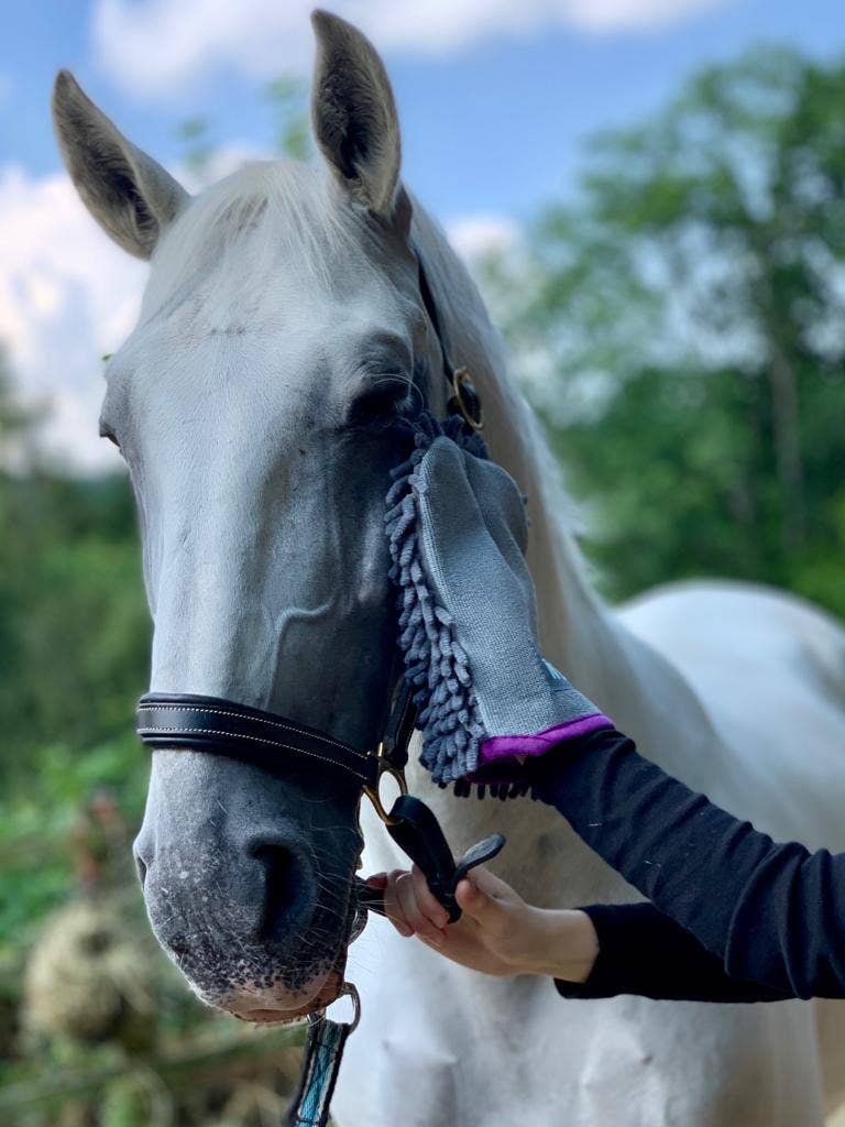Henry Wag - Equine Microvezel reinigingshandschoen