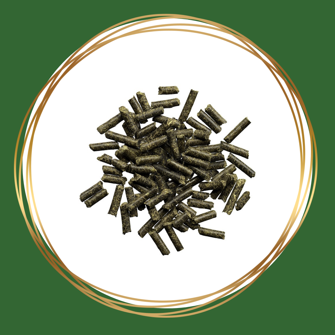 AGROBS Magnesium PUR korrelvormig supplement voor paarden ter ondersteuning van spieren, zenuwen en ontspanning
