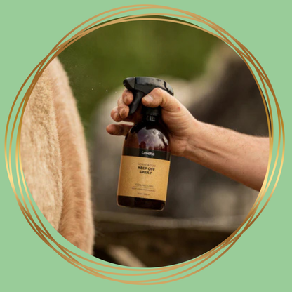 Natuurlijke anti-vliegen spray met essentiële oliën voor paarden en honden in herbruikbare fles