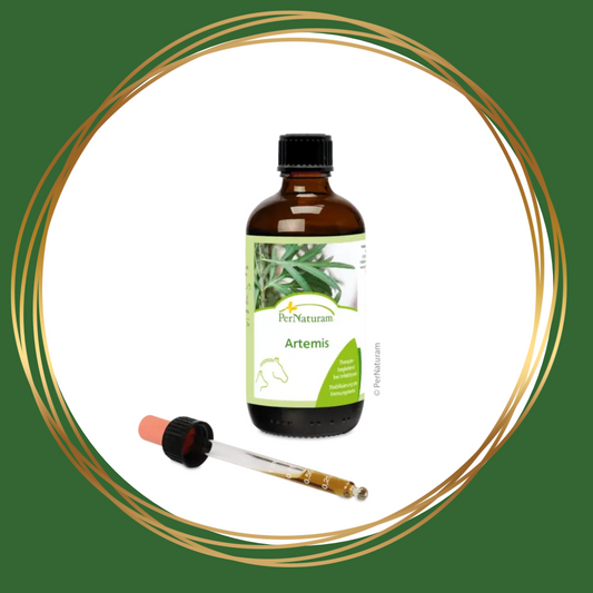 PerNaturam | Artemis