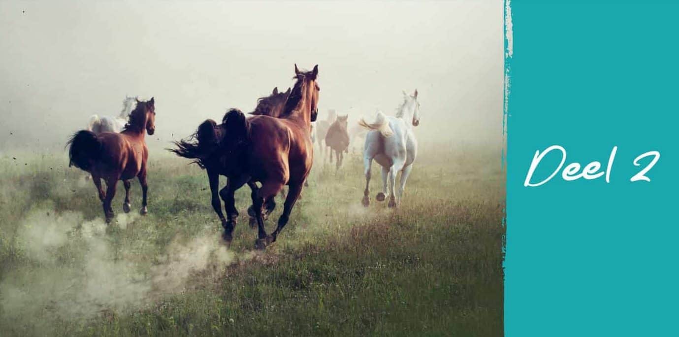 Binnenkant van het boek Horse Essentials met uitleg over het gebruik van essentiële oliën bij paarden