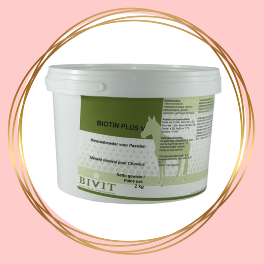 Bivit | Biotin Plus