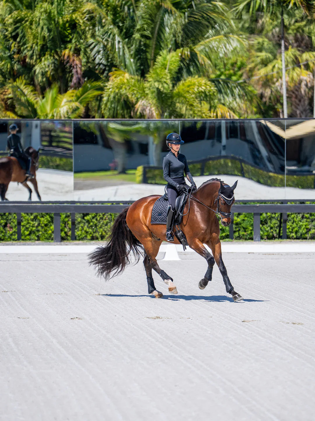 Equestrian Stockholm - Core Collection - Black Dressage Saddle Pad Modern dressuurzadeldek