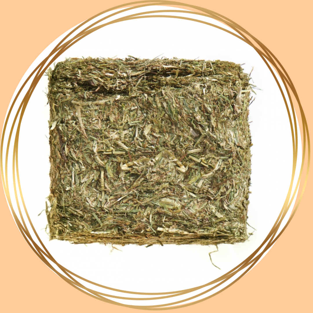 Agrobs | Pre Alpin Compact