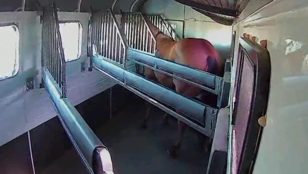 Equine Eye - Trailercamera Voyager (Bluetooth)