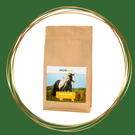 HELTIE Horse | DHA Algen