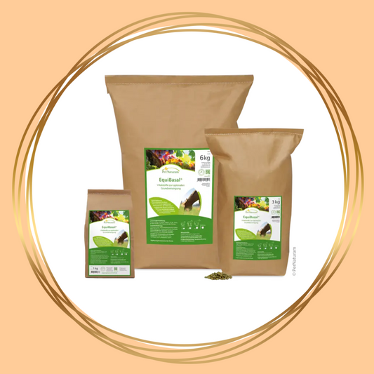 PerNaturam | EquiBasal