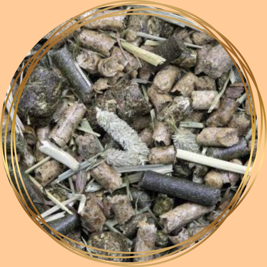 Equifyt Green Balance, voedingssupplement voor paarden ter ondersteuning van balans en welzijn
