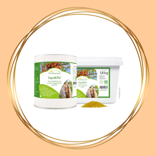PerNaturam | EquiKPU