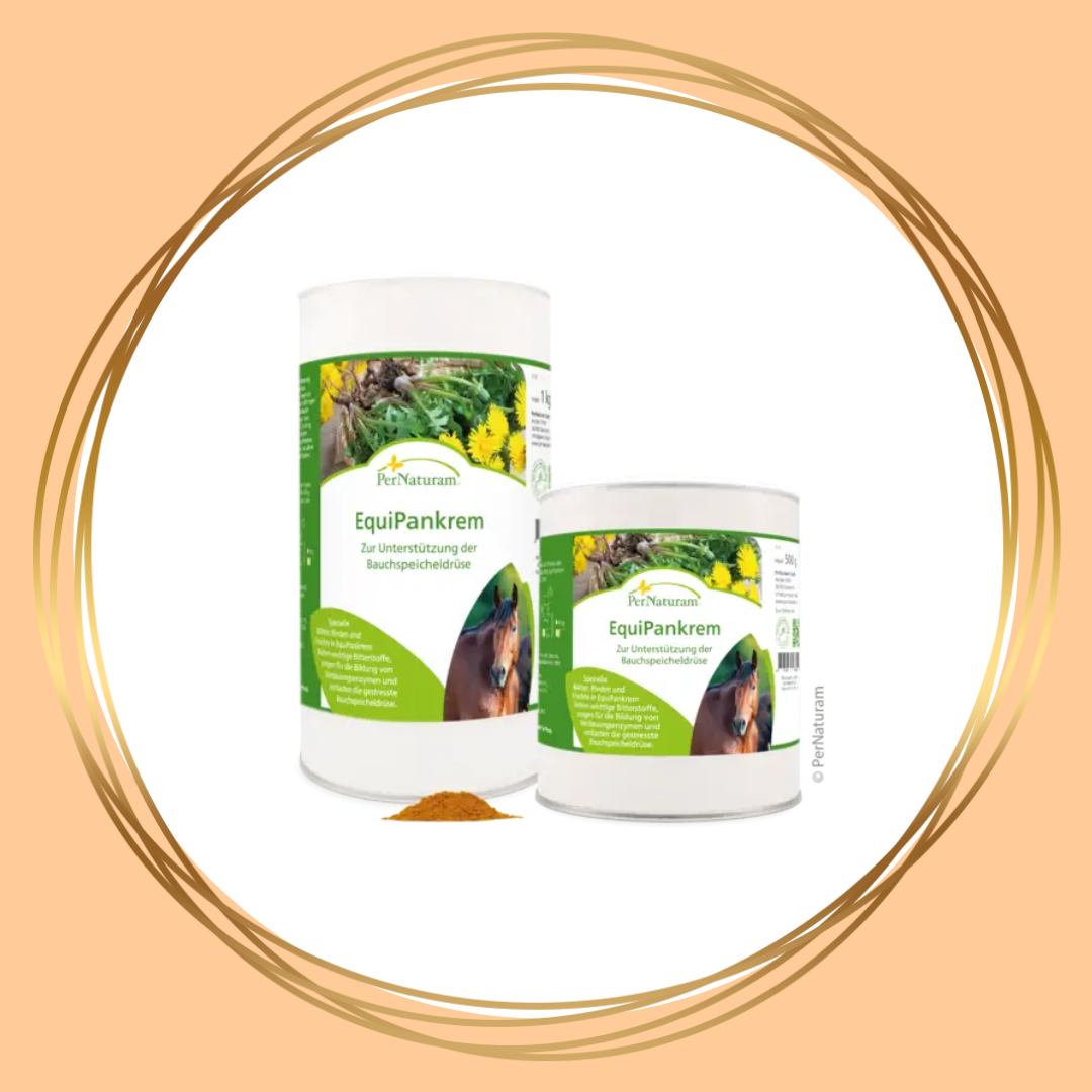 Equipankrem van PerNaturam – verzachtende en activerende paardencrème voor spieren en gewrichten, ideaal voor voor- en na de training