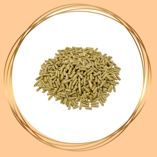 Metazoa | FitRight Esparcette