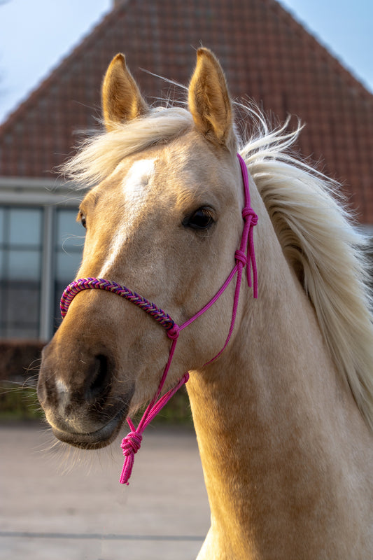 Touwhalster met gevlochten neusband fuchsia, beige en paars