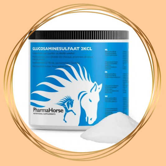 PharmaHorse | Glucosamine