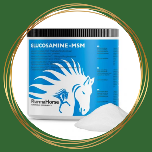 PharmaHorse | Glucosamine & MSM