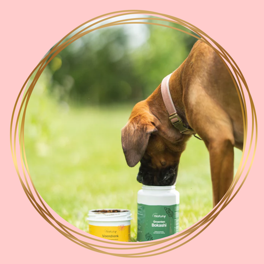 Groenten Bokashi – biologische, graanvrije mix van gefermenteerde groenten en kruiden voor paarden en honden