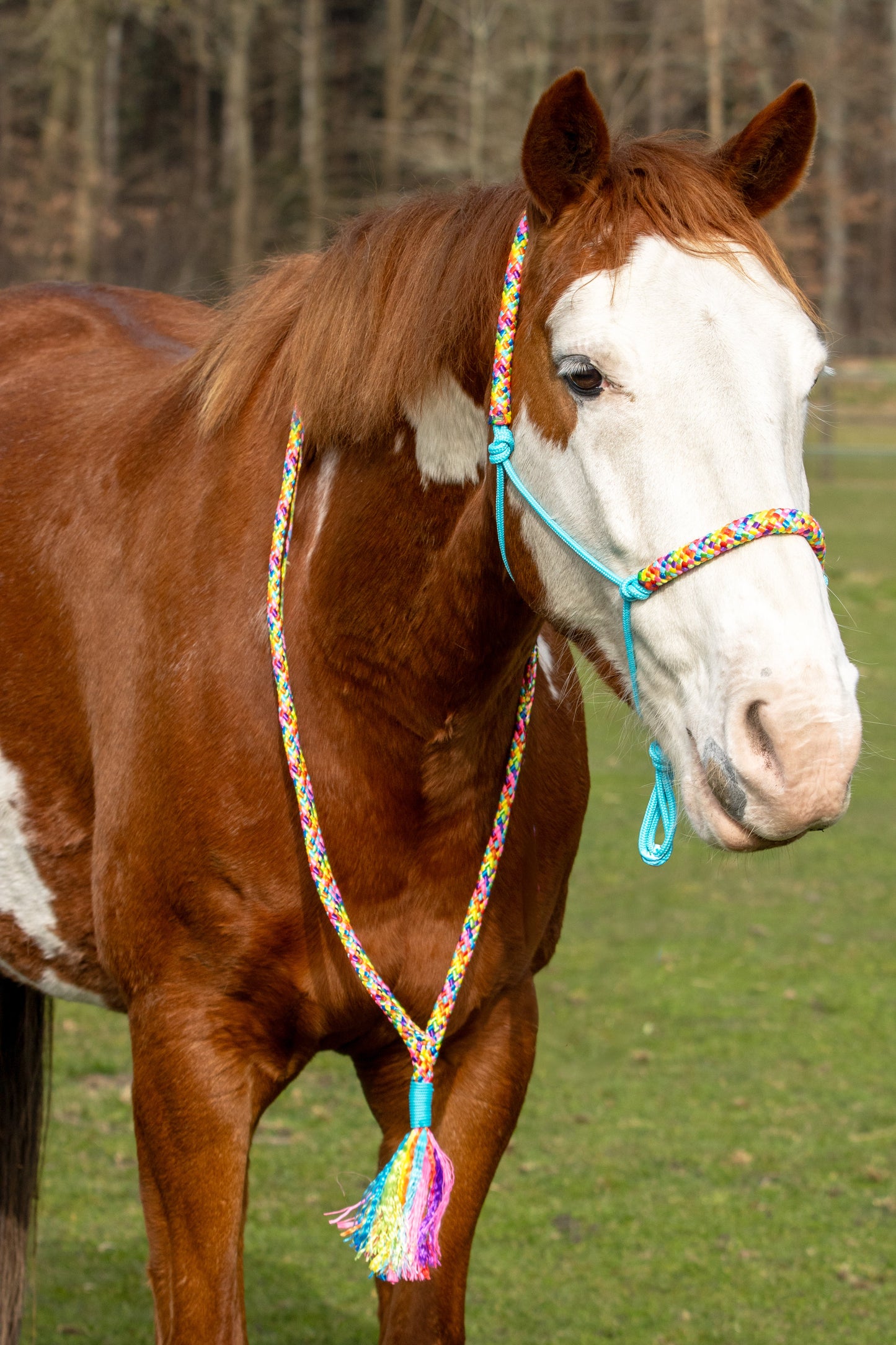 Touwhalster set rainbow colors