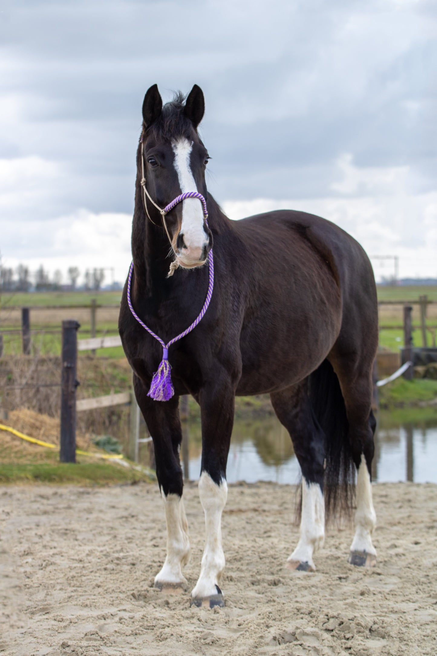 Touwhalster set lavendel