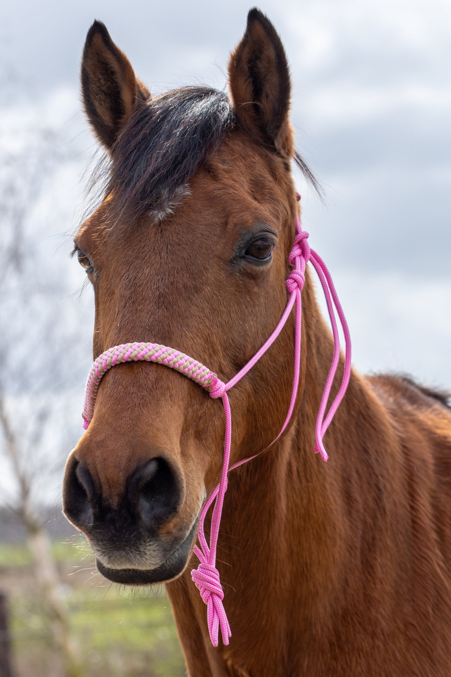 Touwhalster babyroze met babyroze/beige neus en oorband