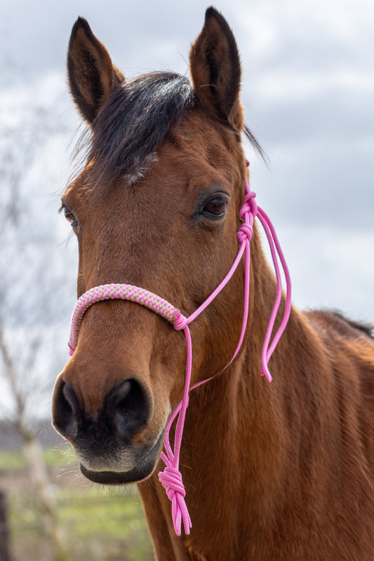 Touwhalster babyroze met babyroze/beige neus en oorband