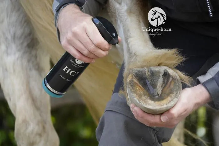 Toepassing van HC7 spray op de onderzijde van een paardenhoef