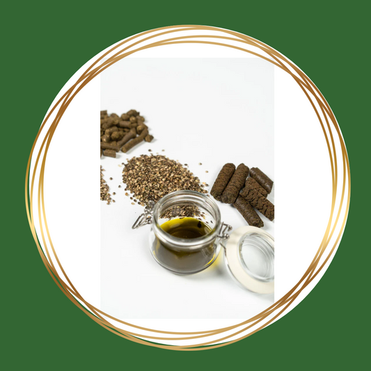 Hennepzaadolie van Bio-Ron/Natuly is een natuurlijke bron van omega-3 vetzuren voor paarden, bevordert een gezonde huid en vacht, en ondersteunt het immuunsysteem.
