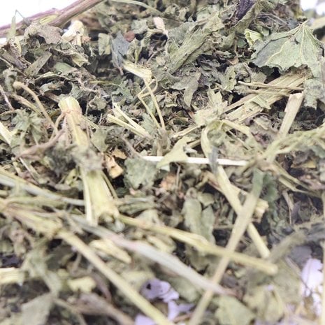 Herbimals brandnetelblad grof – aanvullend diervoeder voor paarden, ondersteunt stofwisseling, huid en vacht