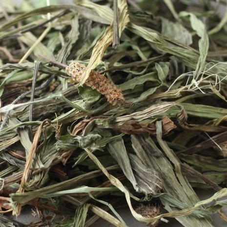 Smalle weegbree van Herbimals – Plantago lanceolata, A+ kwaliteit bladeren en bloemen, aanvullend diervoeder voor paarden, konijnen en andere dieren.